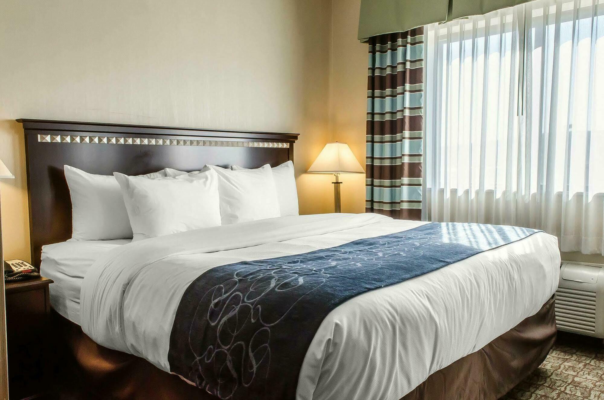 בלומסבורג Comfort Suites מראה חיצוני תמונה